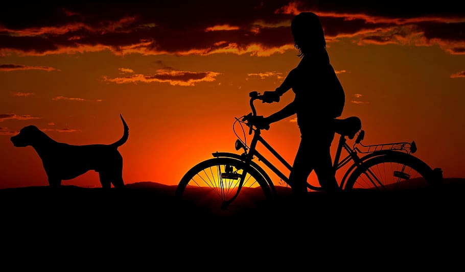 piese biciclete