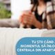 centrala termică